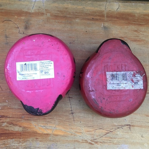 Set of 2 Rocket Farms Lovebugs Ladybugs Mini Planters Pink & Red with Hearts - Picture 6 of 8